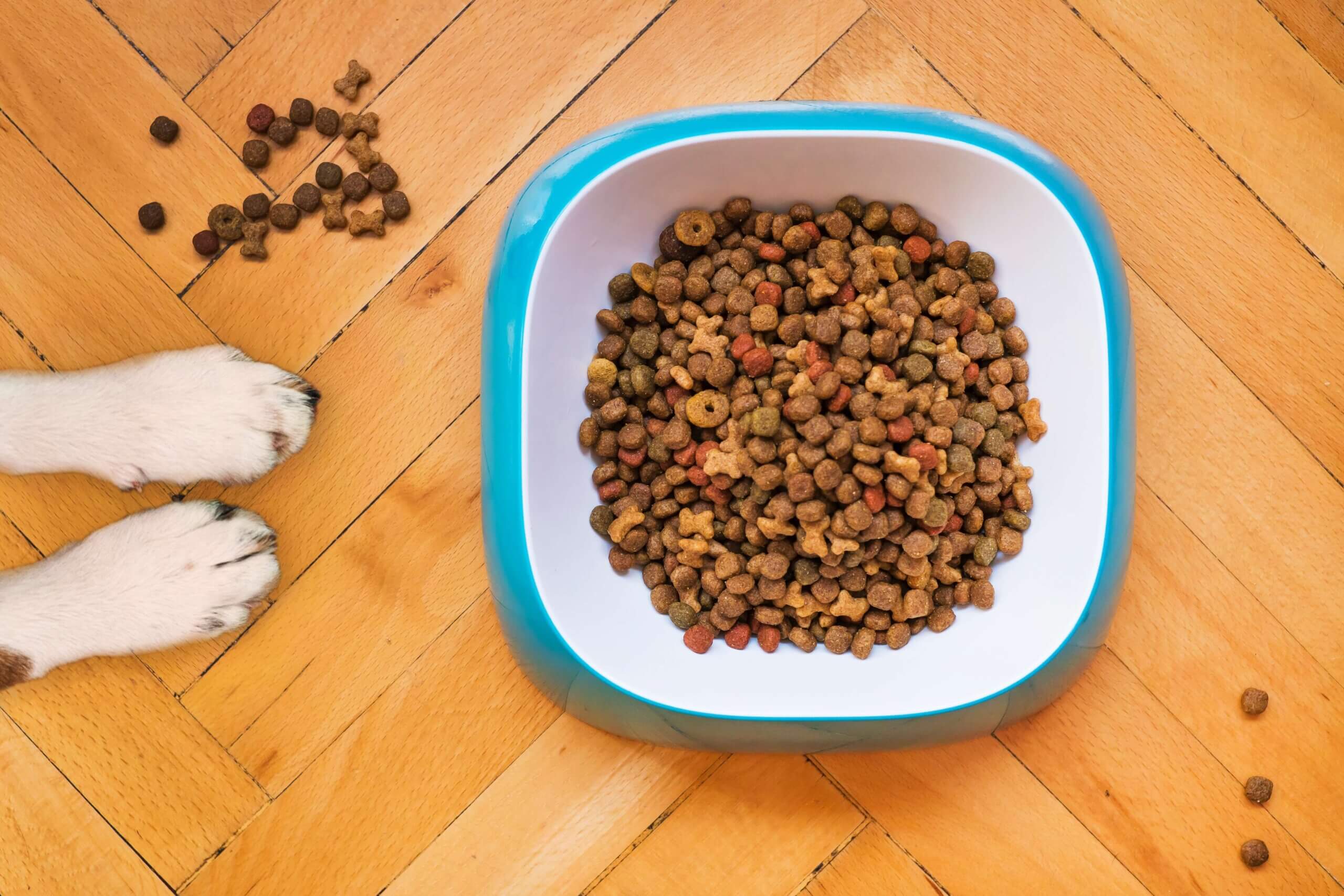 Natural Color for Pet Food in a bowl