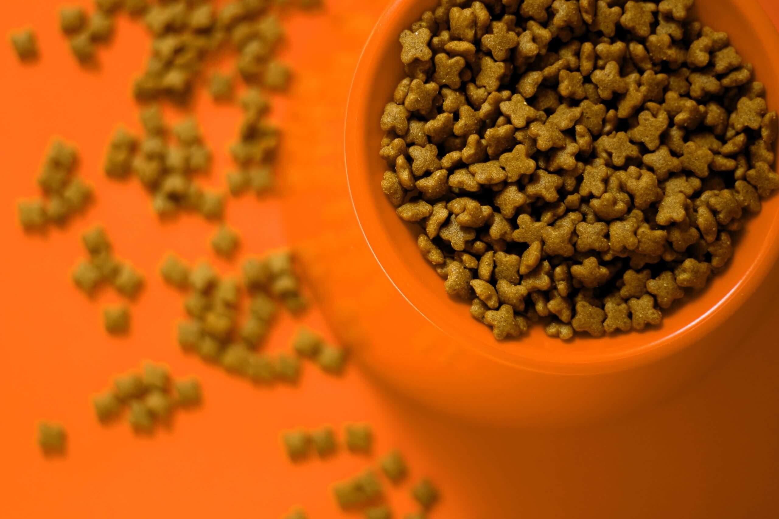 appetizing Natural Color for Pet Food in bowl