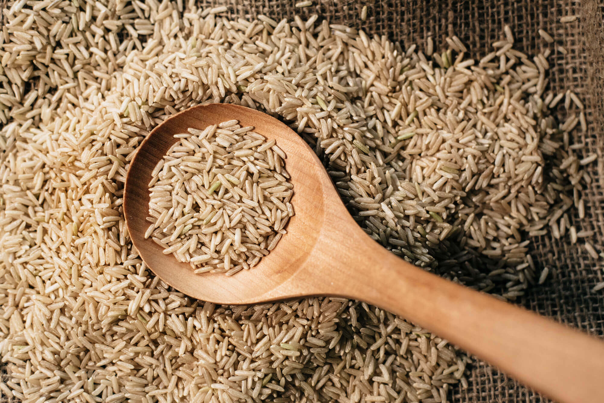 brown rice used for Rice Protein